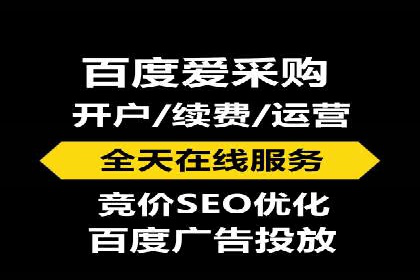 某品牌SEM推广代运营的实践与效果评估